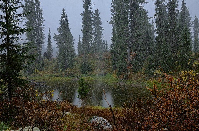 Снег. фото превью