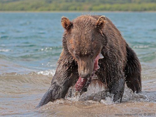 Не отнимешь!