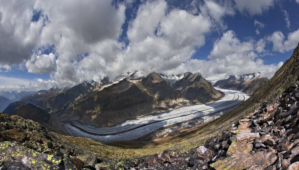 swiss, Матвеев Николай