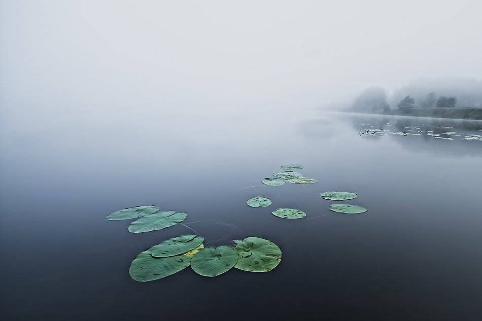 , Rimantas Bikulcius