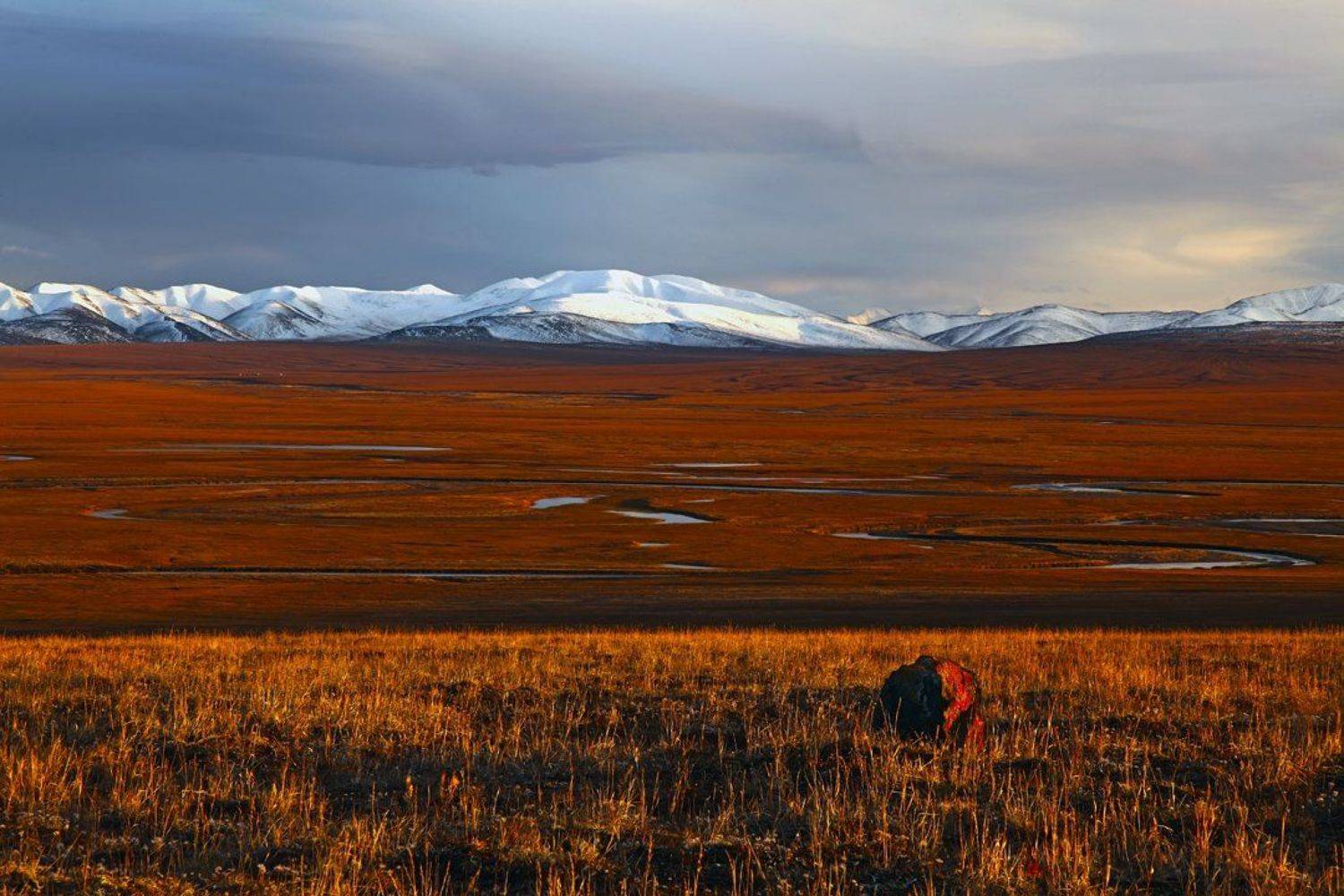 чукотка, пейзаж, природа, небо, облака, растения, сопки, россия, север, тундра, снег, осень, речка,, Сергей Шульга