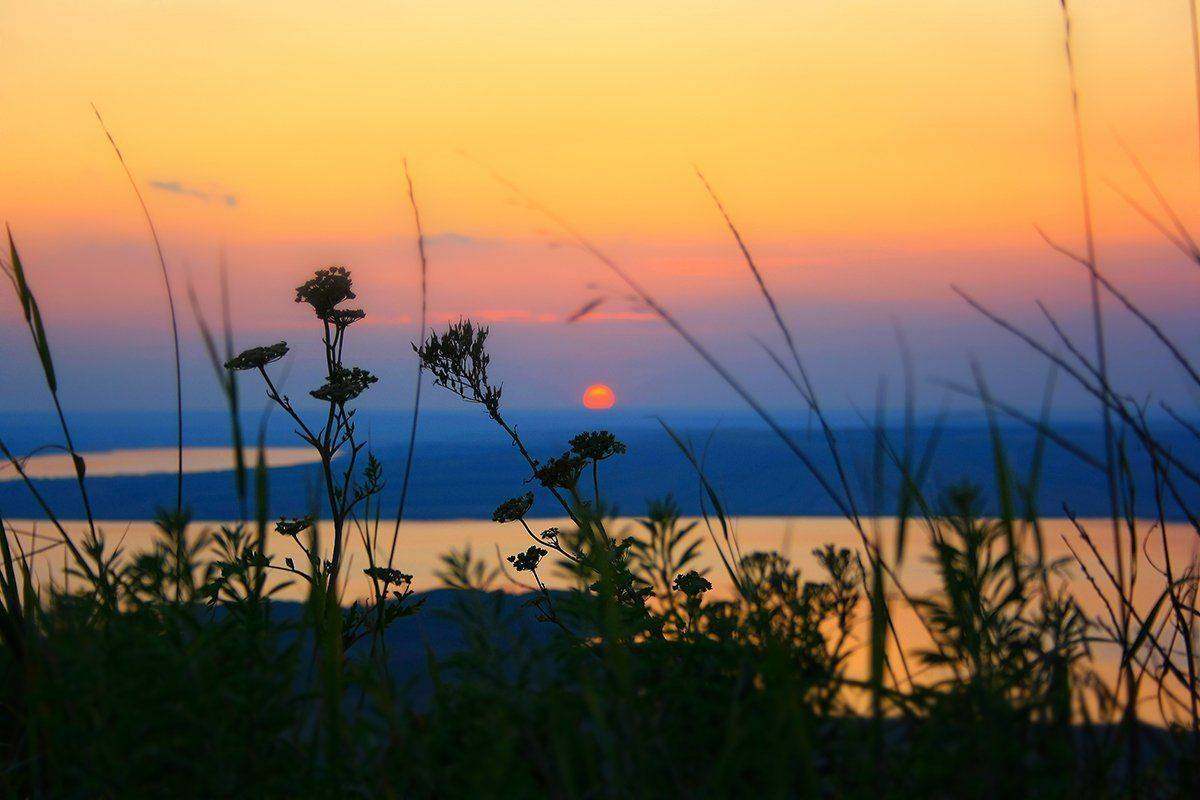 природа, Михаил  Пилипенко