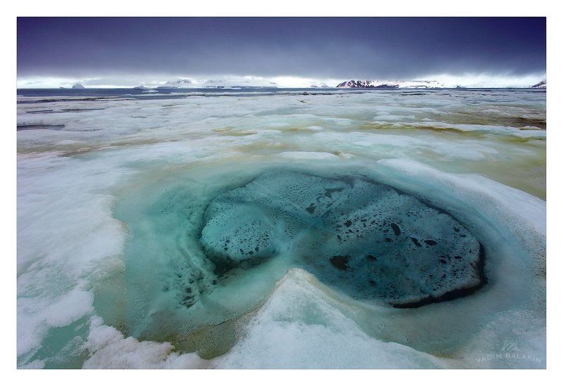 Остров Алджера фото превью