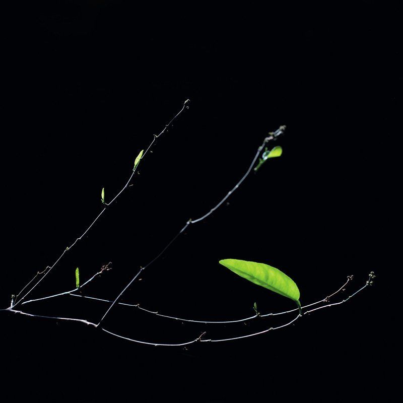 --- фото превью