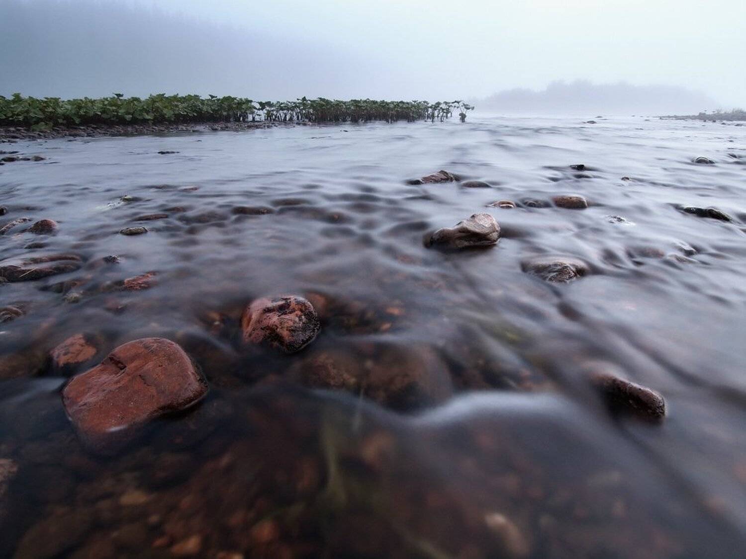 , Максим Евдокимов