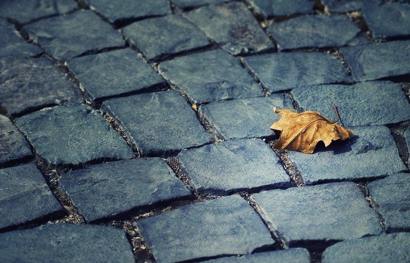 ...When autumn leaves start to fall... фото превью