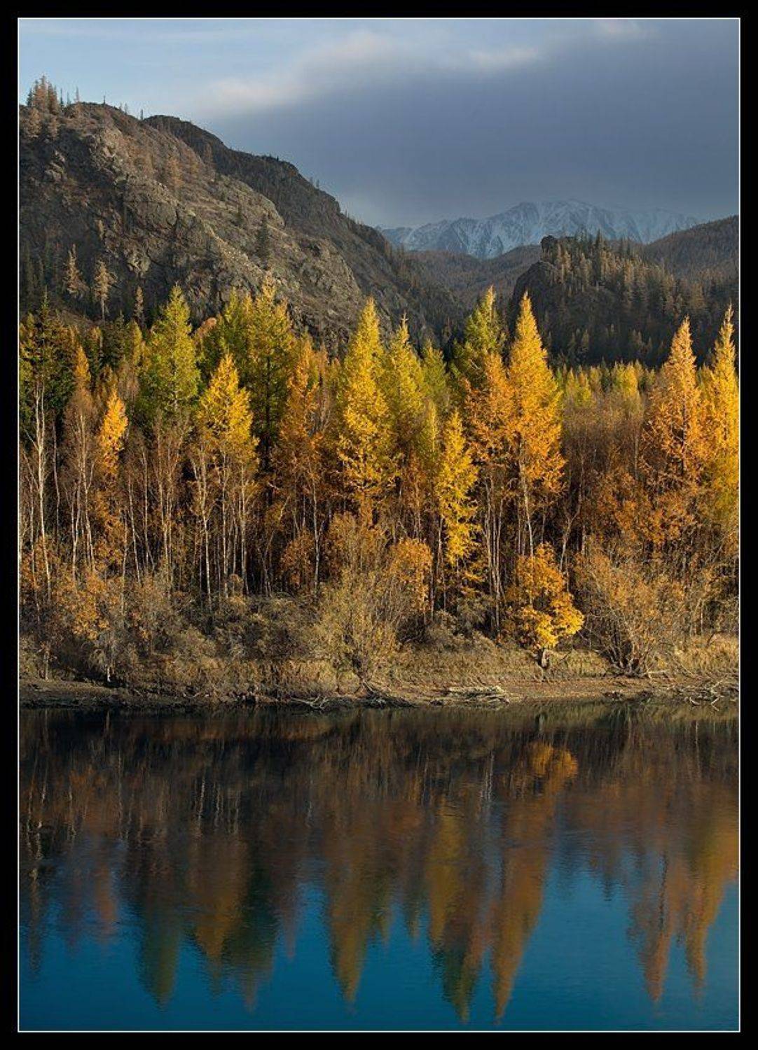 алтай, чуя, река, осень, Виктория Роготнева