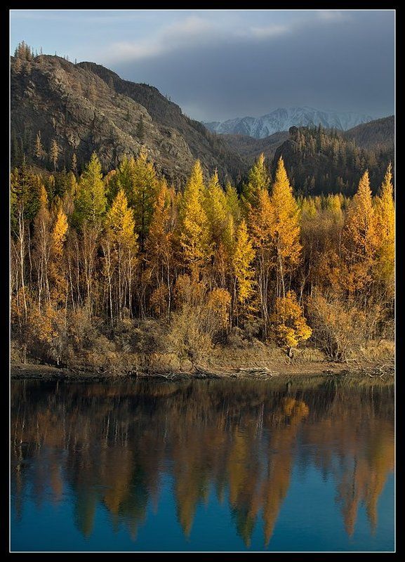 алтай, чуя, река, осень Осенние краски Чуи.... фото превью