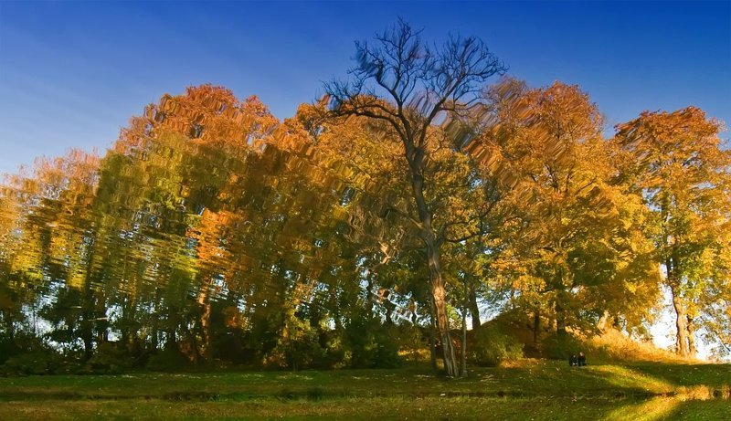 В королевстве искаженных  зеркал фото превью
