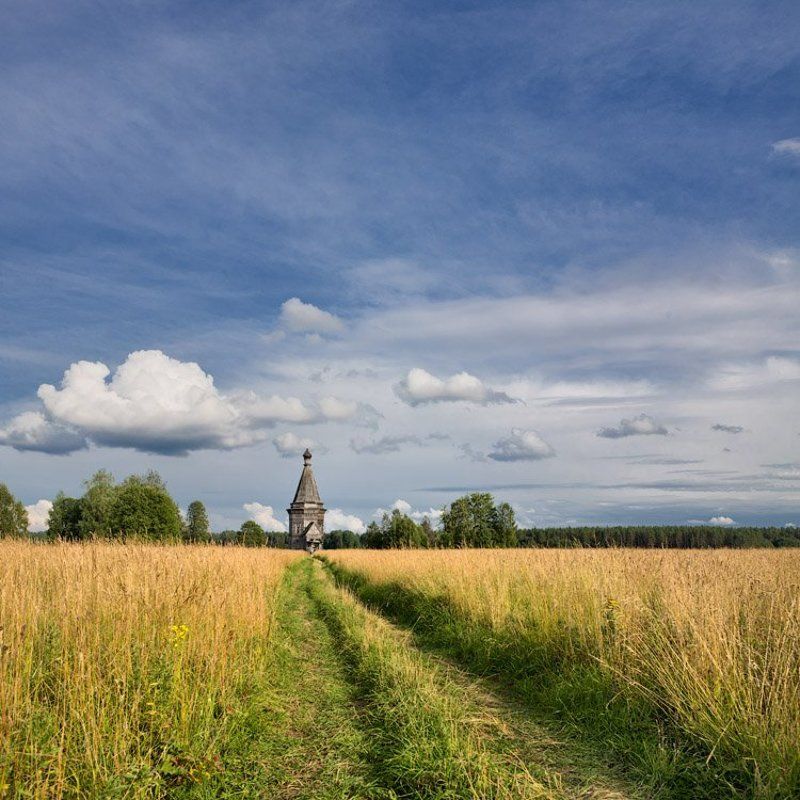 одна, в, поле....  фото превью