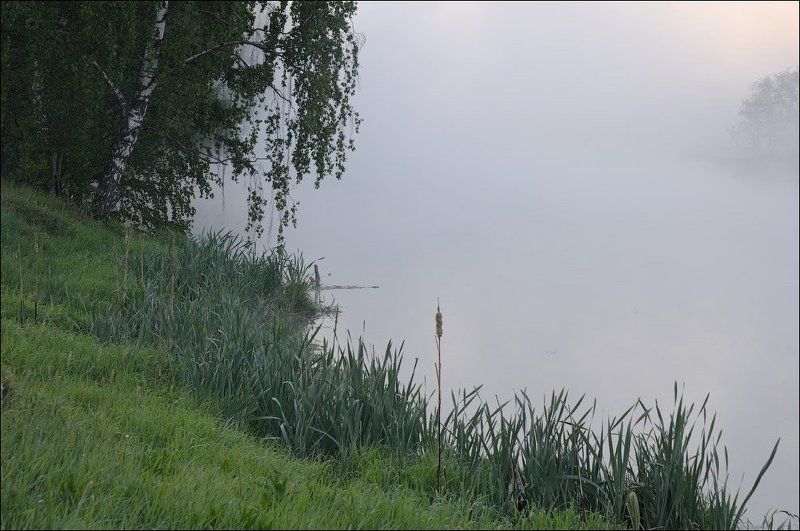 **** фото превью