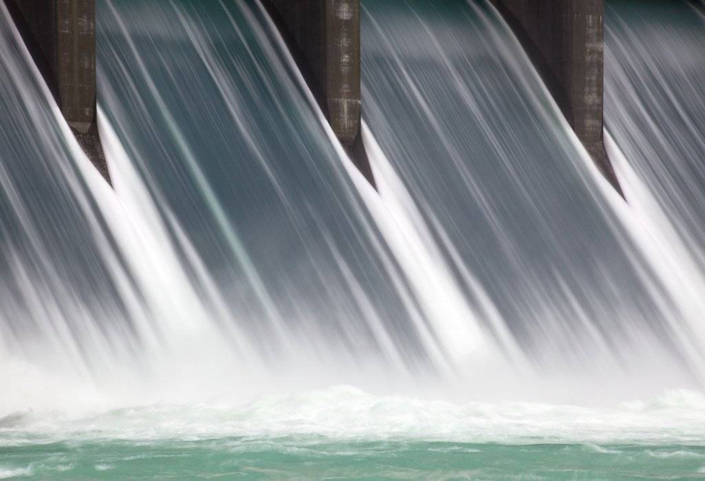 , Надежда Звягина / New Zealand