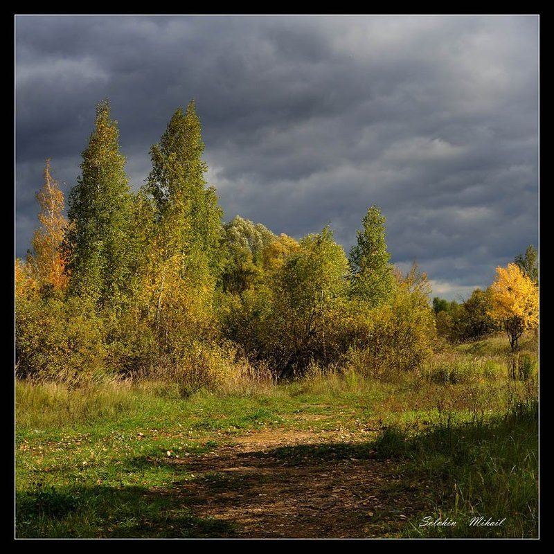 Не много про осень фото превью