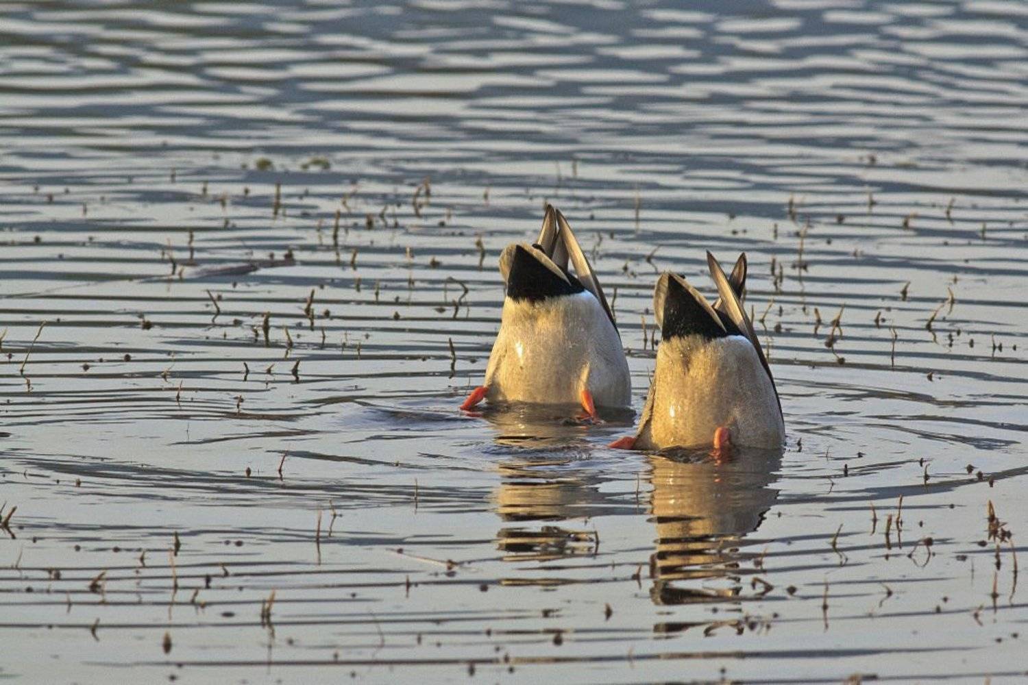 , ГеннадийАлексеич