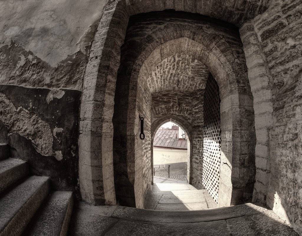 , Павел Дунюшкин