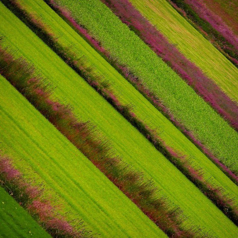 *** фото превью