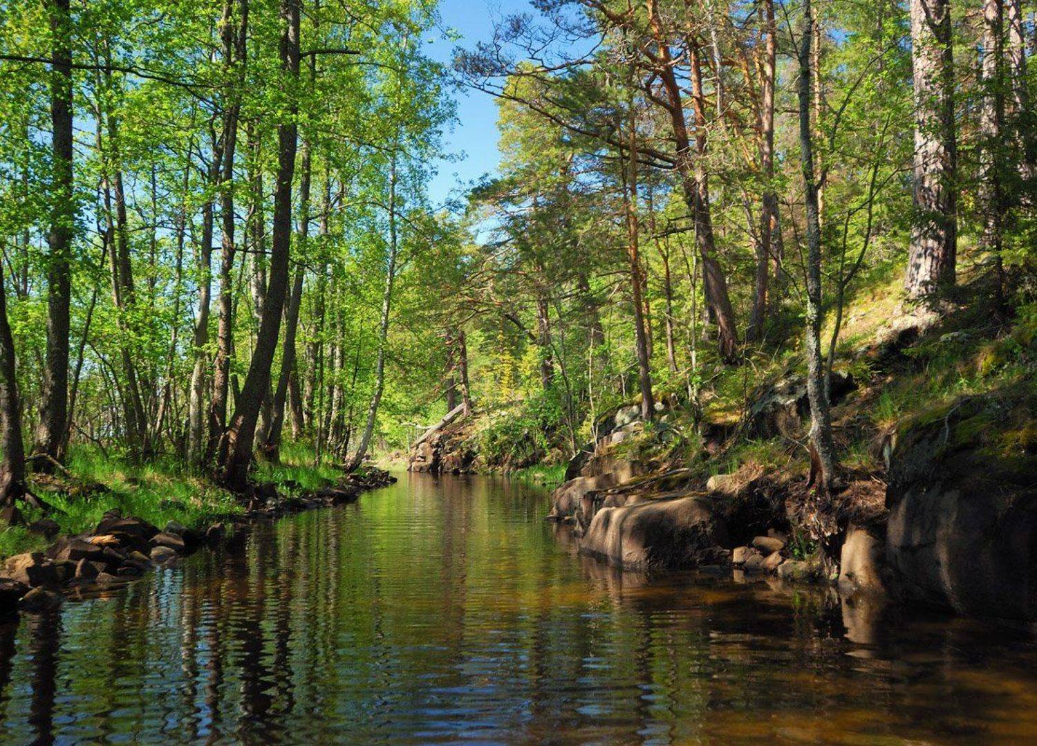 , Сергей Седов