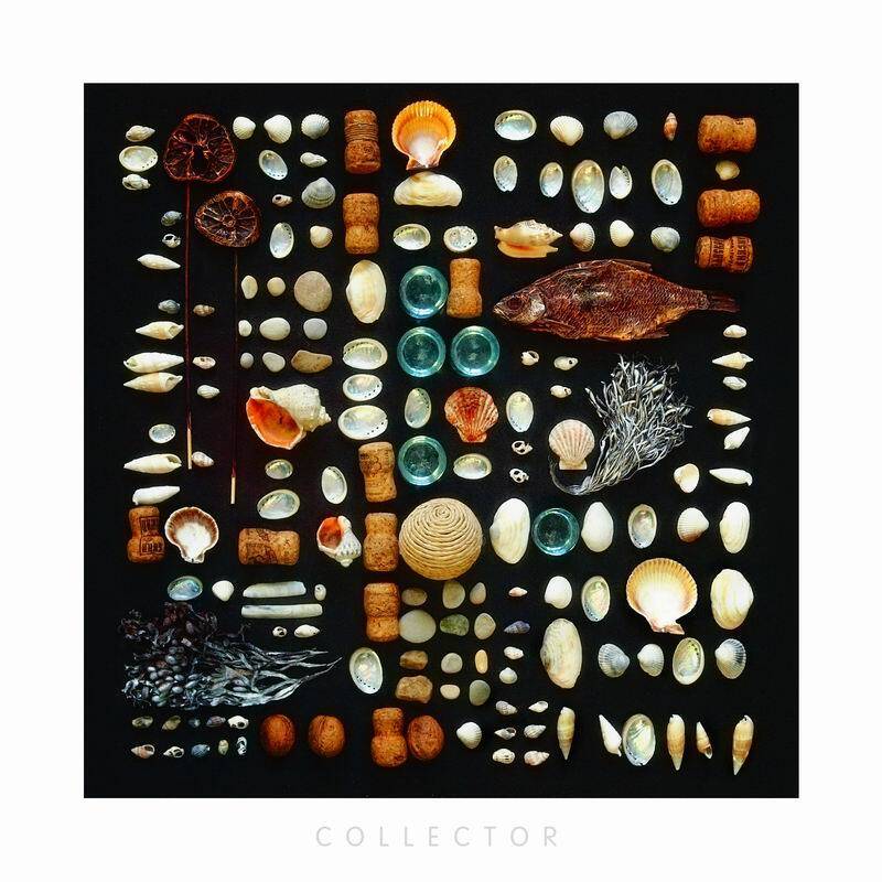 натюрморт, , музыка, николай дмитрук