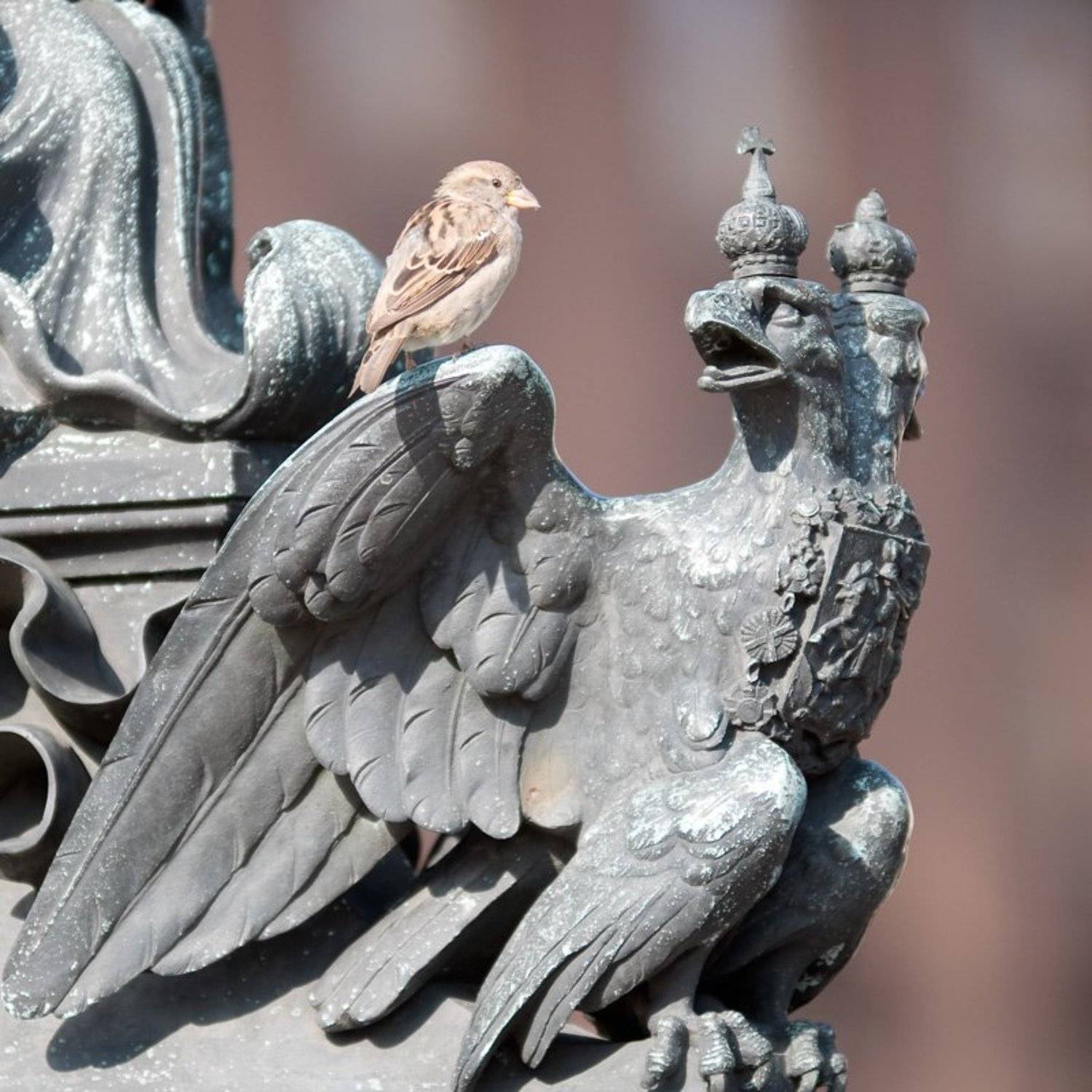 , Александр Алексеев 881