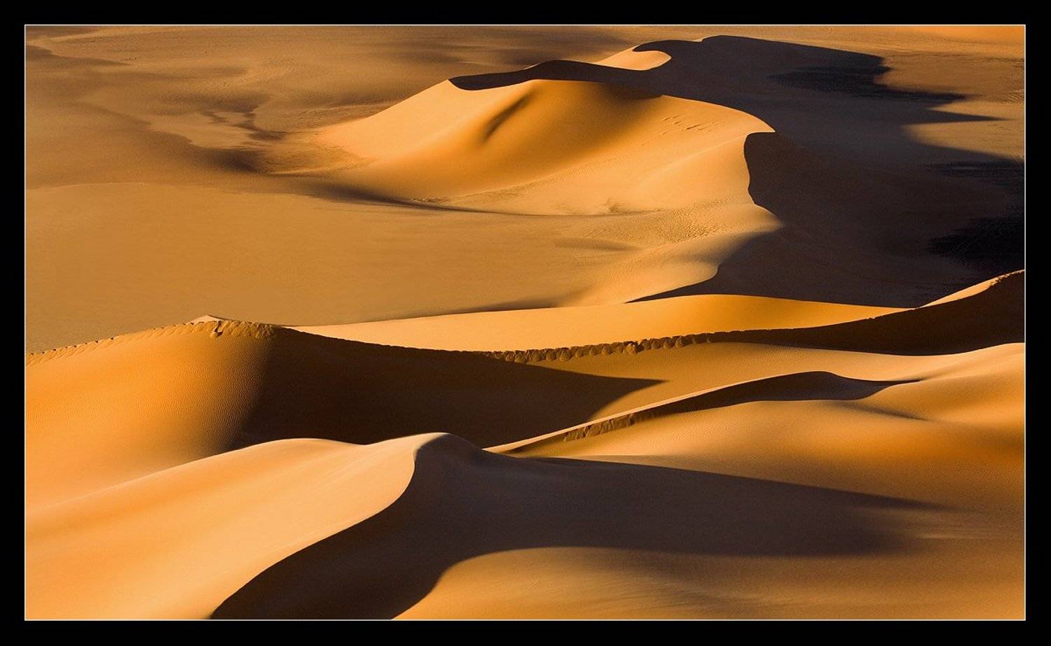 сахара, ливия, песок ,дюны, Виктория Роготнева
