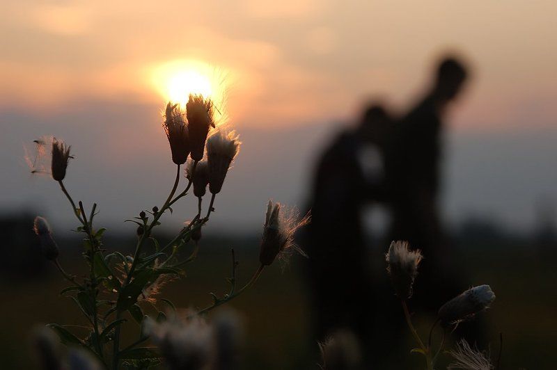 неподведённые итоги фото превью