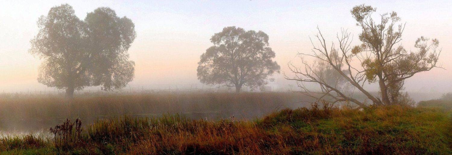 , Андрей Балабин