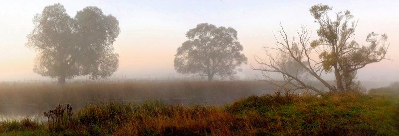 Без ёжиков... фото превью