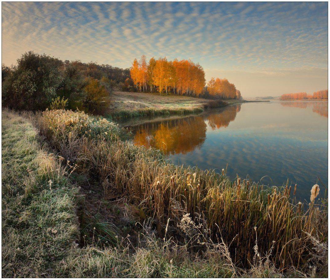 утро, осень, небо, озеро, березы, гуриневка, харьков, Александр Киценко
