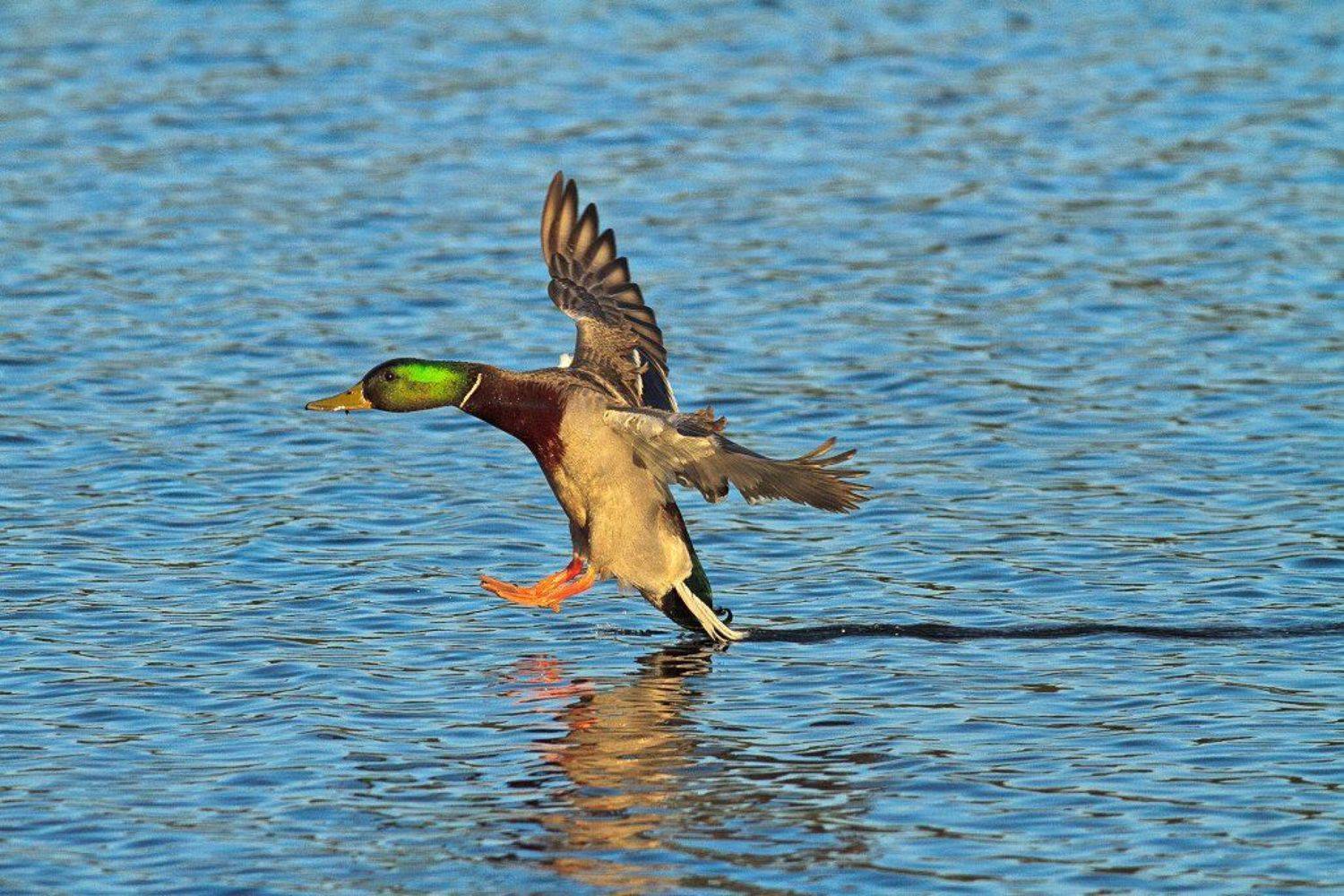 , ГеннадийАлексеич