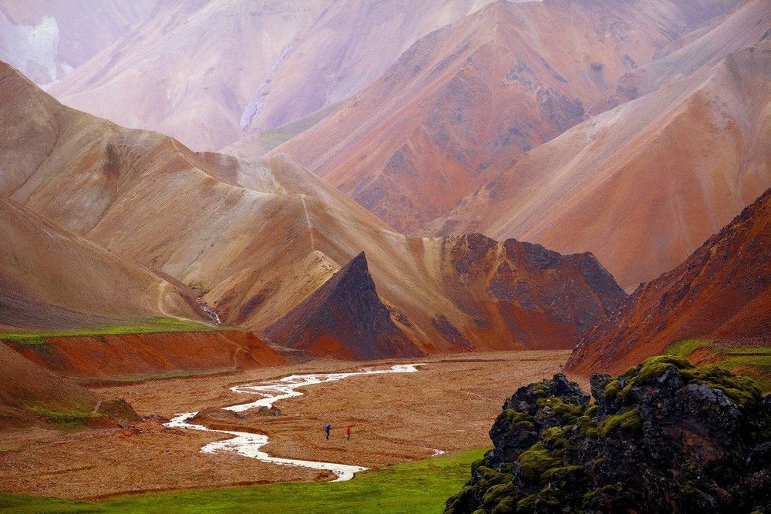 , Григорий Иващенко