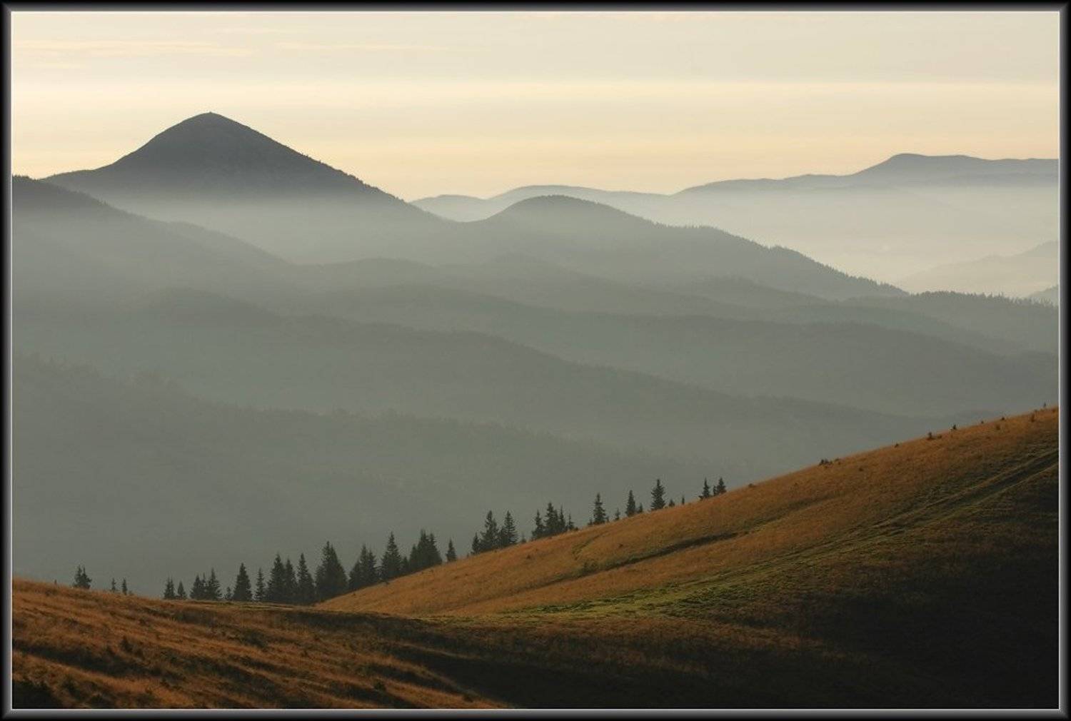 карпаты, Тарас