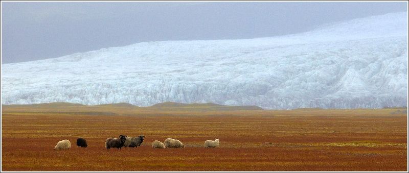исландия Фота для истинных ценителей фото превью