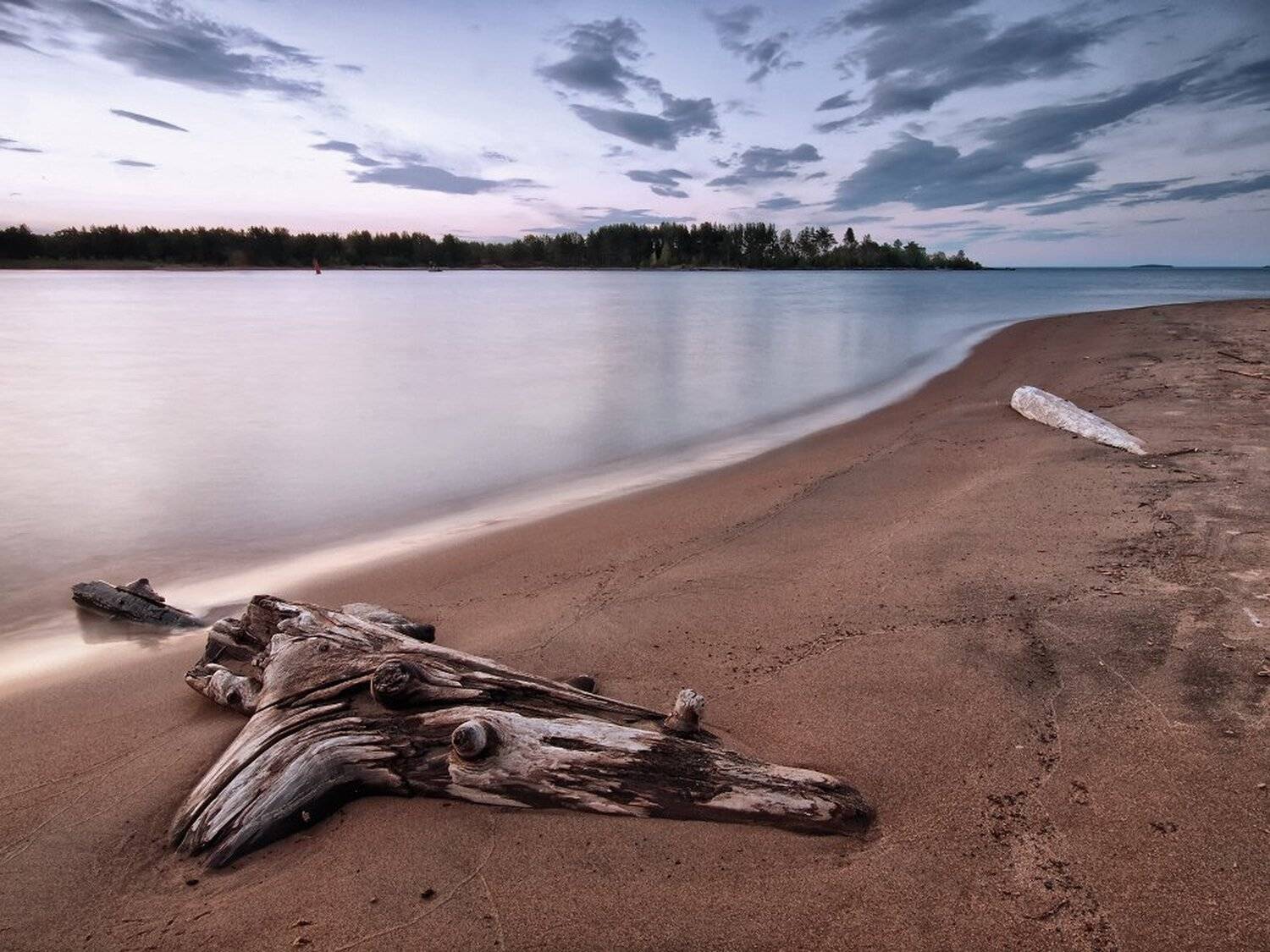 , Максим Евдокимов