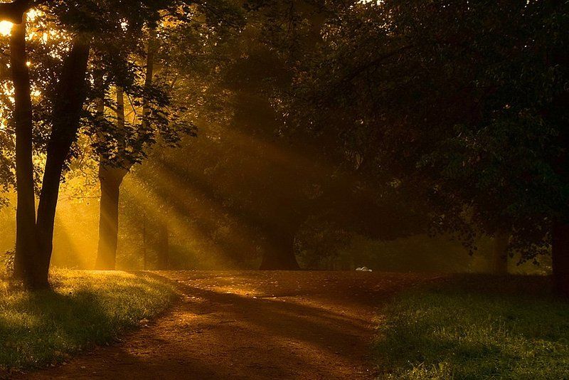 Место где свет фото превью