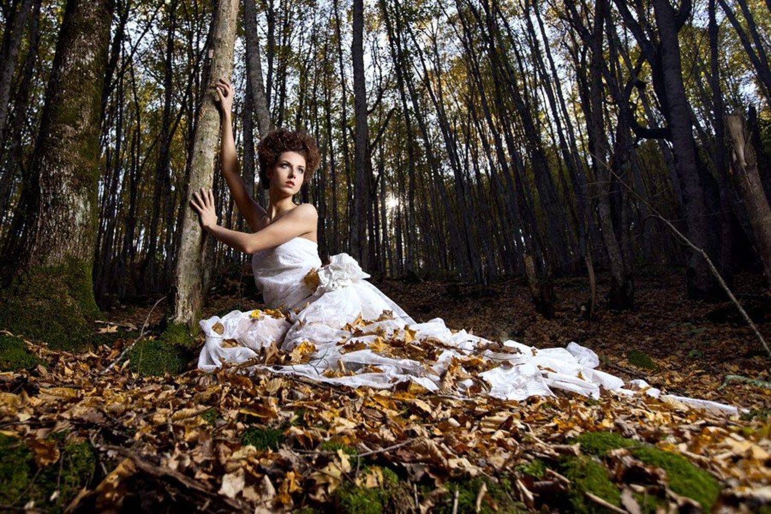 , Виталий Тимкив