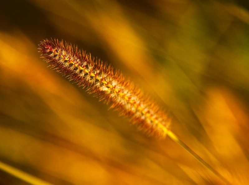 Autumn escape фото превью