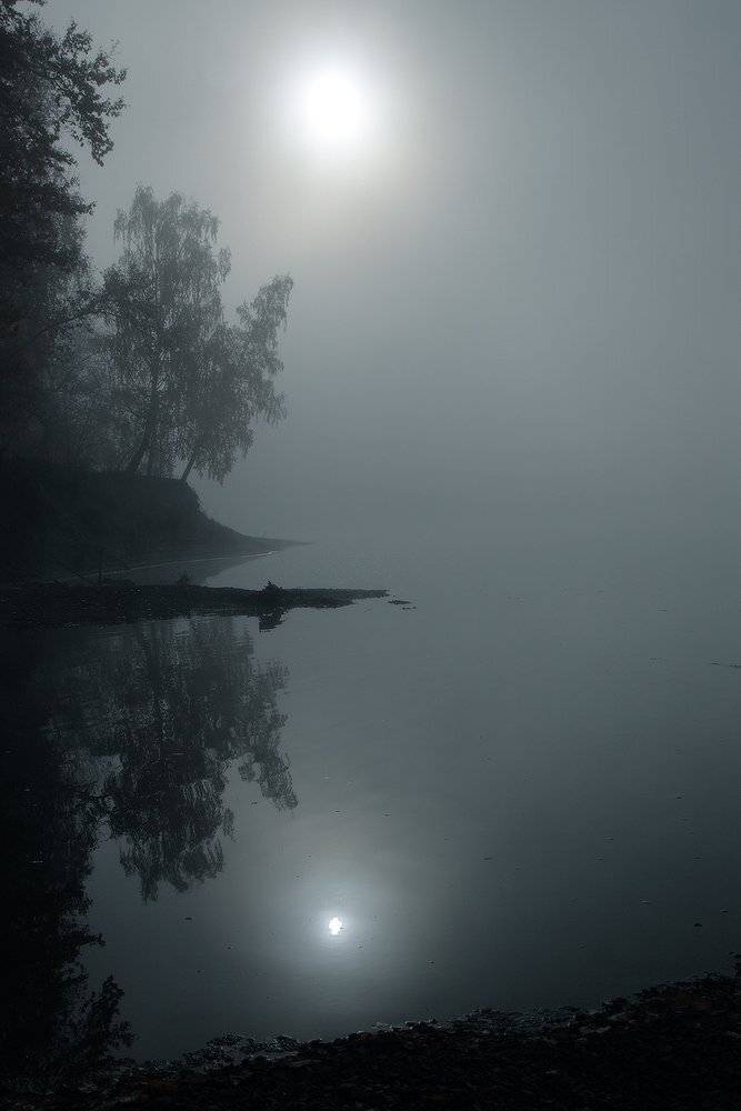 , Николай Морский