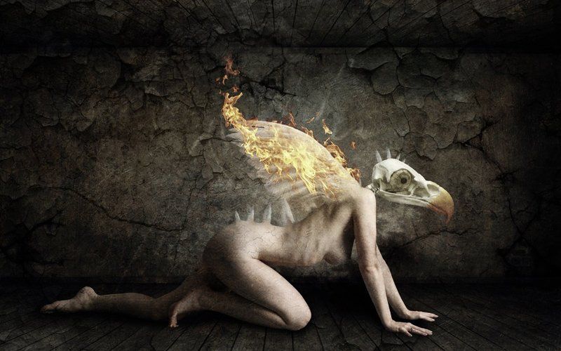 Burning Muse фото превью