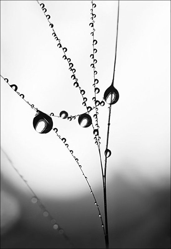 вода, капли Геометрия воды фото превью