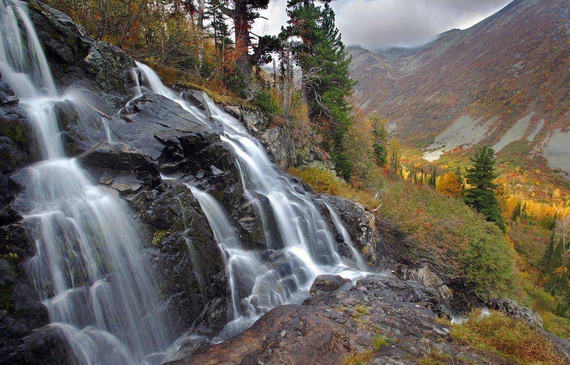 поднебесные, зубья, Александр Устинович