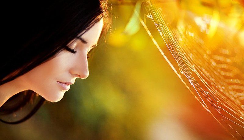 закат, желтый, контровой, девушка, паутина, портрет ******* фото превью