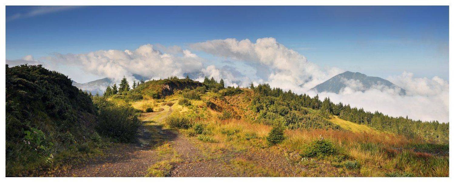 , Денис Кривой