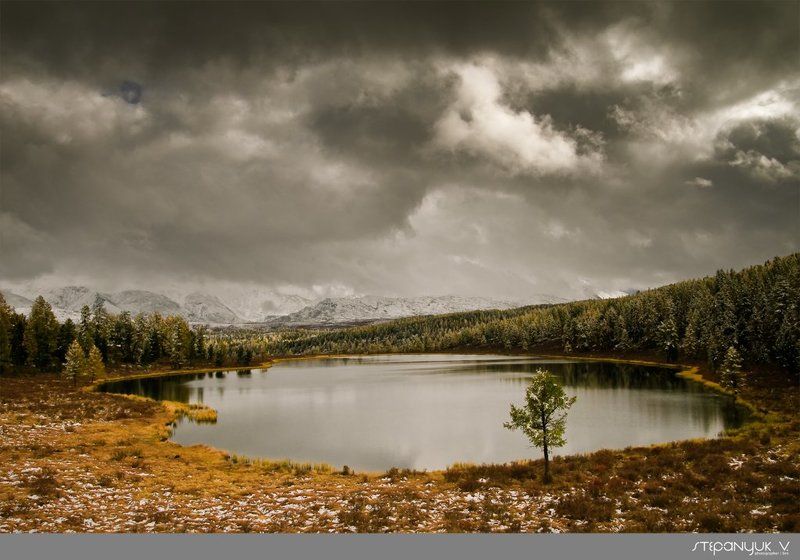 алтай, озеро, киделю, россия, вода Озера Улаганского района (оз. Киделю). Республика Алтай фото превью