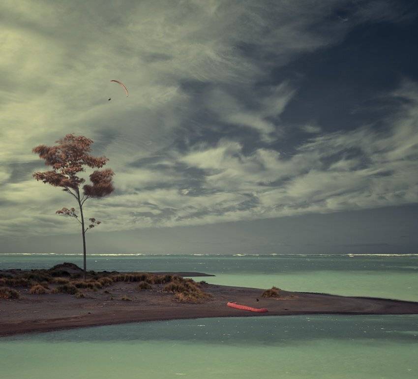 tree, eolian, ocean, wave, water, fly, paragliding, land, Caras Ionut