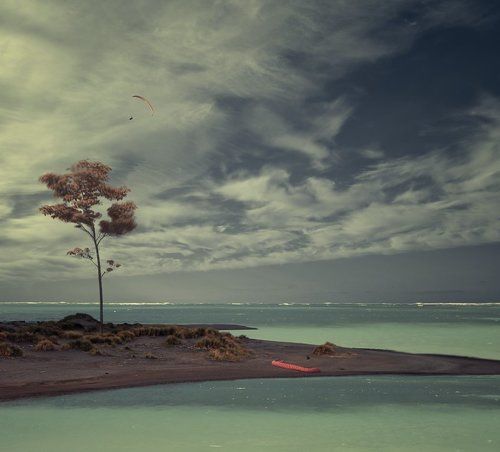 Chasing the wind