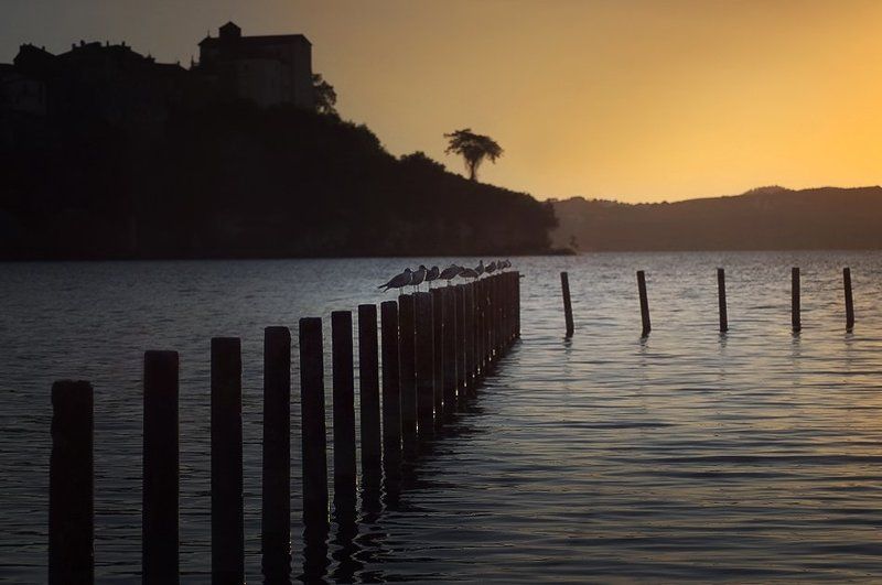 World... фото превью