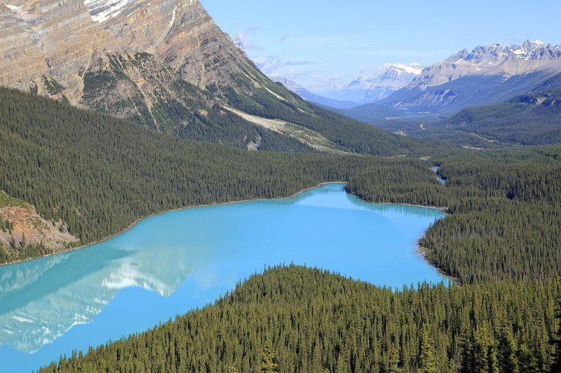отражения, озеро, парк, банф, канада Peyto lake фото превью