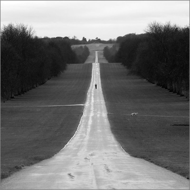 винздор, парк *** фото превью