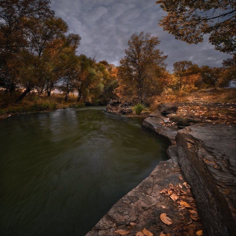 Рыжая пора фото превью