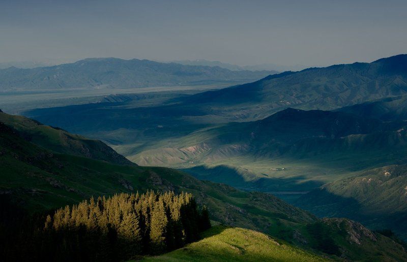 Табан карагой 2 фото превью